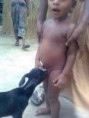 /album/%e3%83%95%e3%82%a9%e3%83%88%e3%82%ae%e3%83%a3%e3%83%a9%e3%83%aa%e3%83%bc/somali-jpg2/